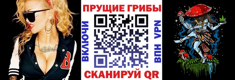 мега онион  Алзамай  Псилоцибиновые грибы Magic Shrooms  хочу  